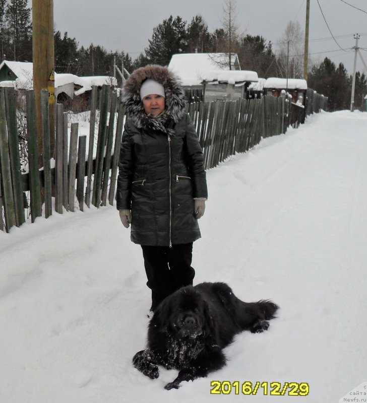 Фотография № 218742