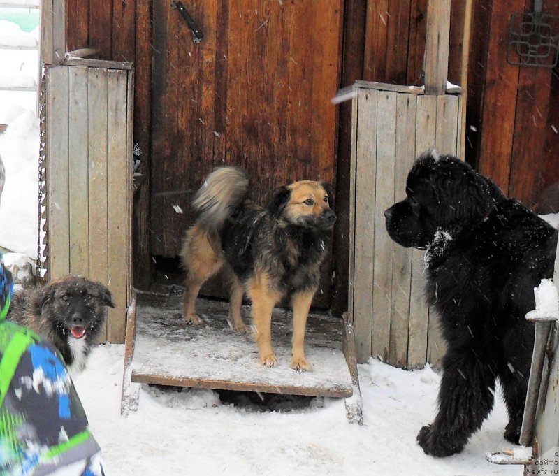 Фотография № 218751