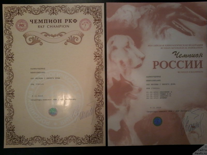 Фотография № 218773