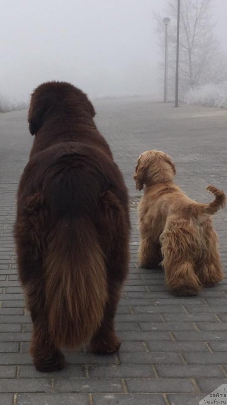 Фотография № 218777