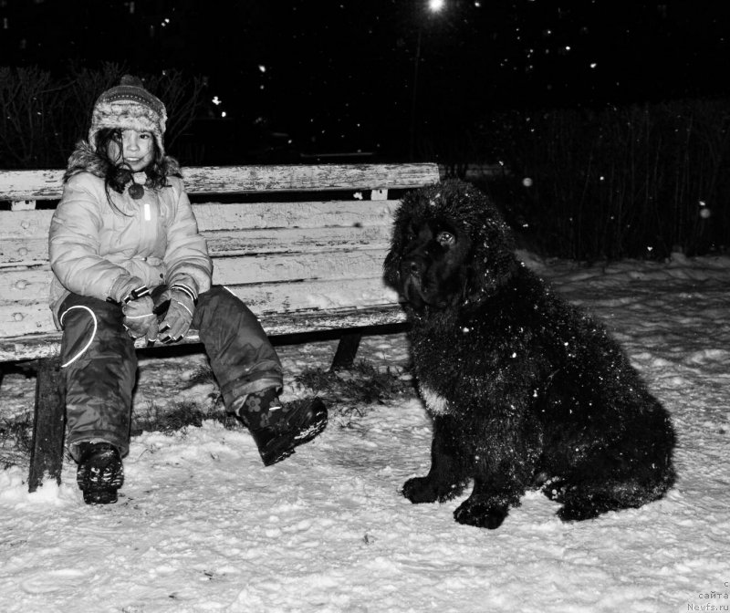 Фотография № 218791