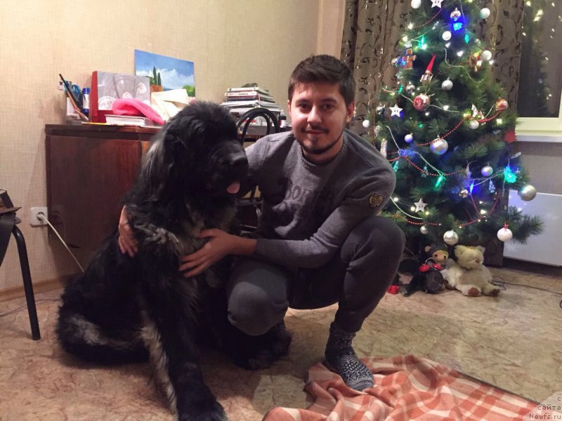 Фотография № 218817