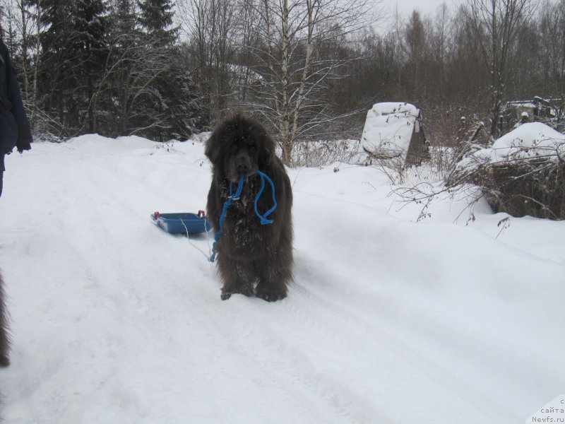 Фотография № 218832