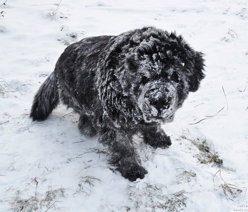 Фотография № 218851