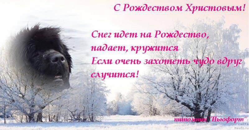 Фото: Ирина Панюшкина