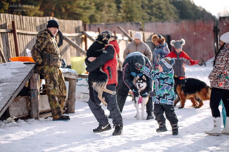 Фото: ньюфаундленд Преданный Друг