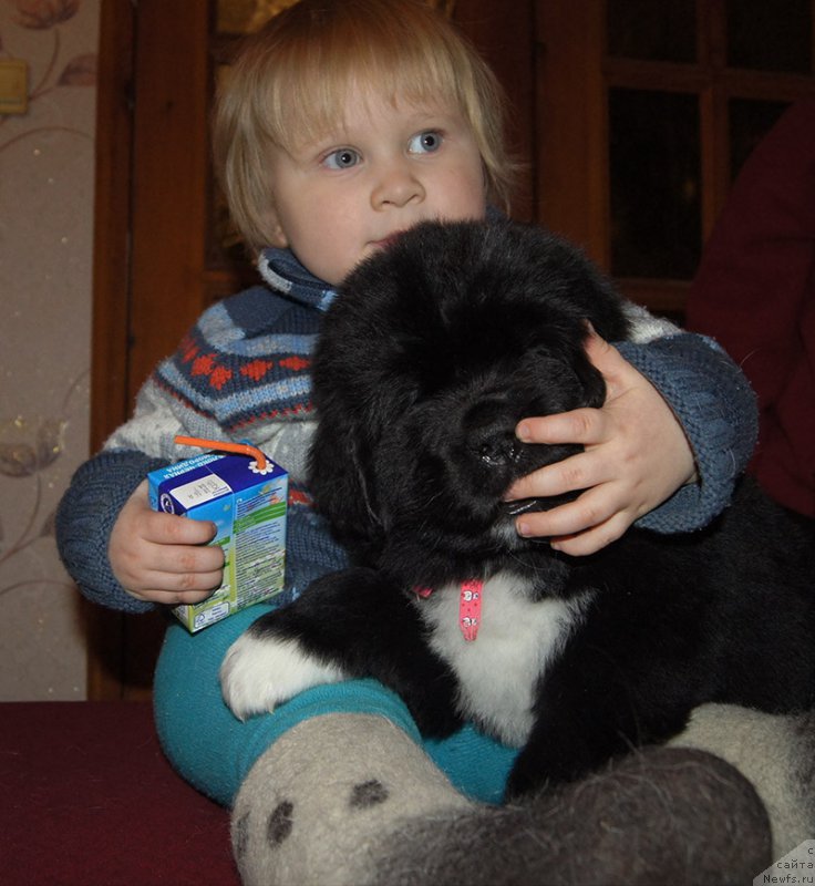 Фотография № 218907