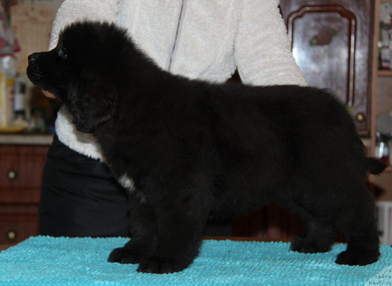 Фото: Аквиан Сонг То Фи Фи