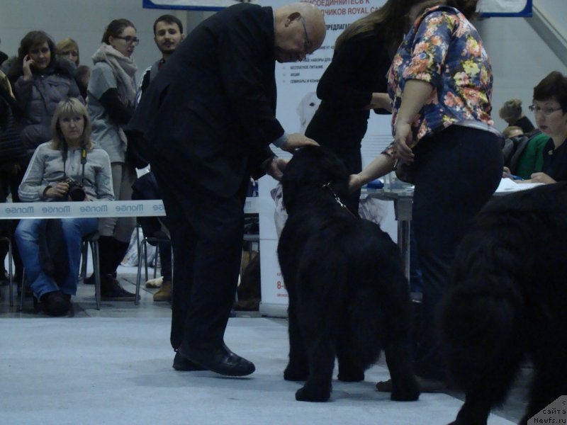 Фотография № 218932