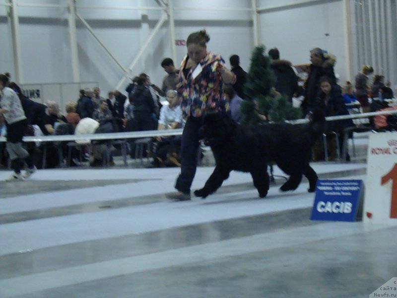 Фотография № 218934