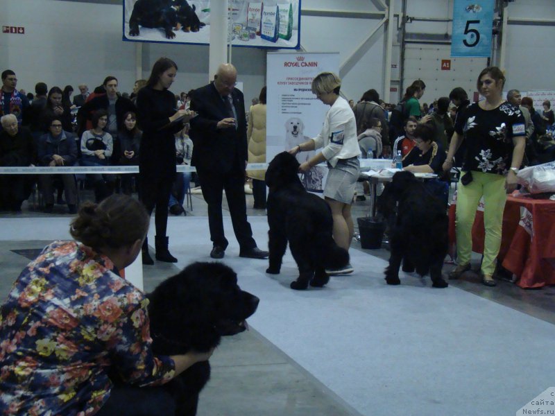 Фотография № 218940