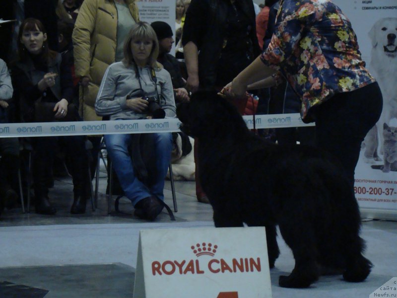 Фотография № 218942