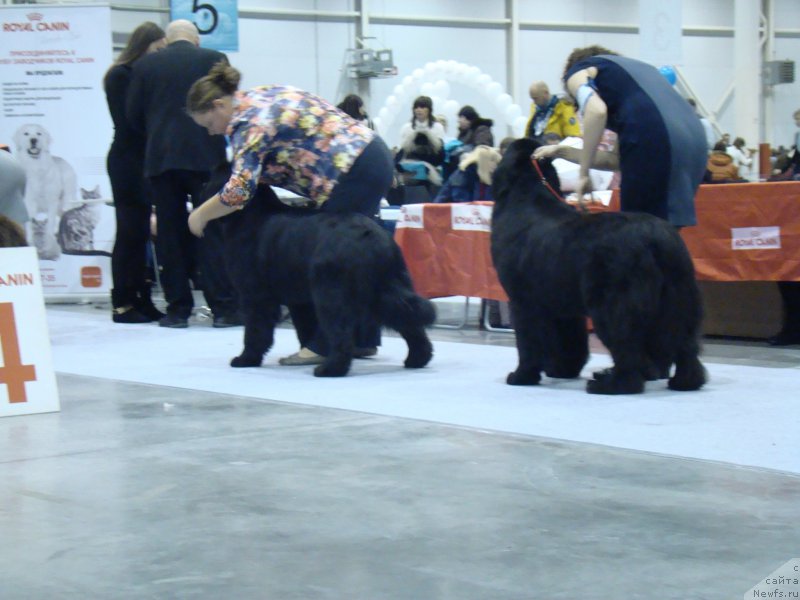 Фотография № 218944