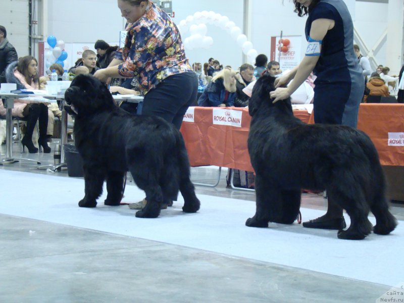 Фотография № 218945