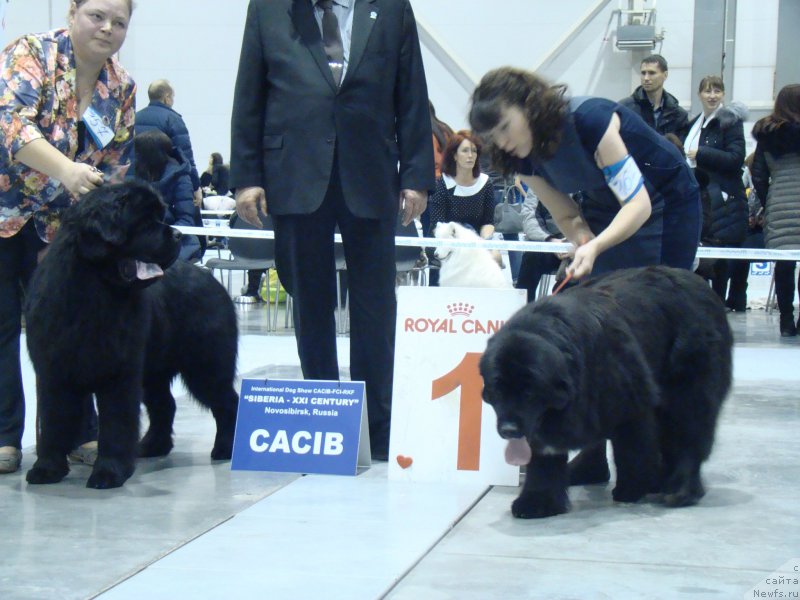 Фотография № 218947