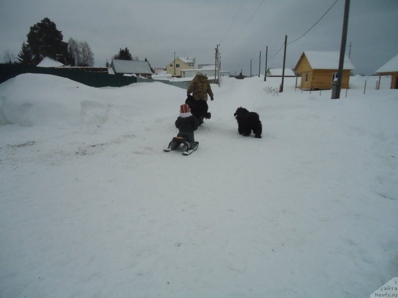 Фотография № 218950