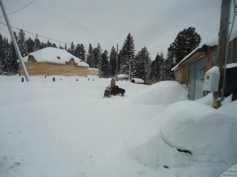 Фотография № 218951