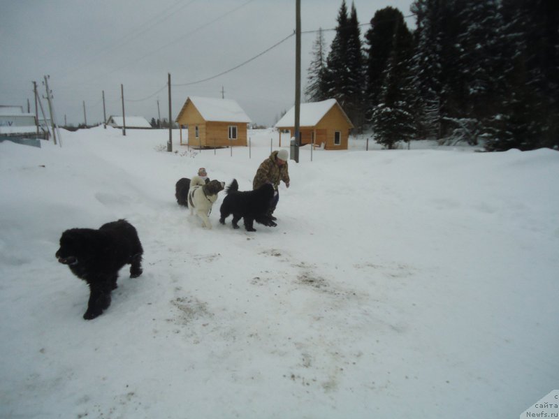 Фотография № 218974