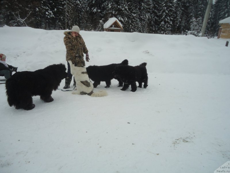 Фотография № 218975