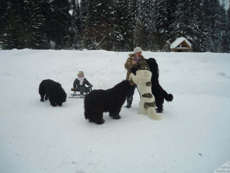 Фотография № 218976