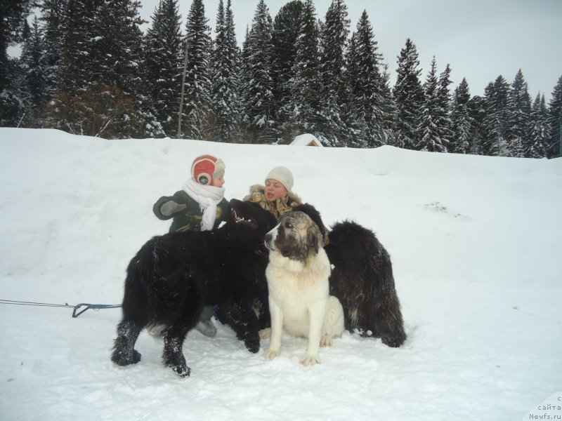 Фотография № 218982