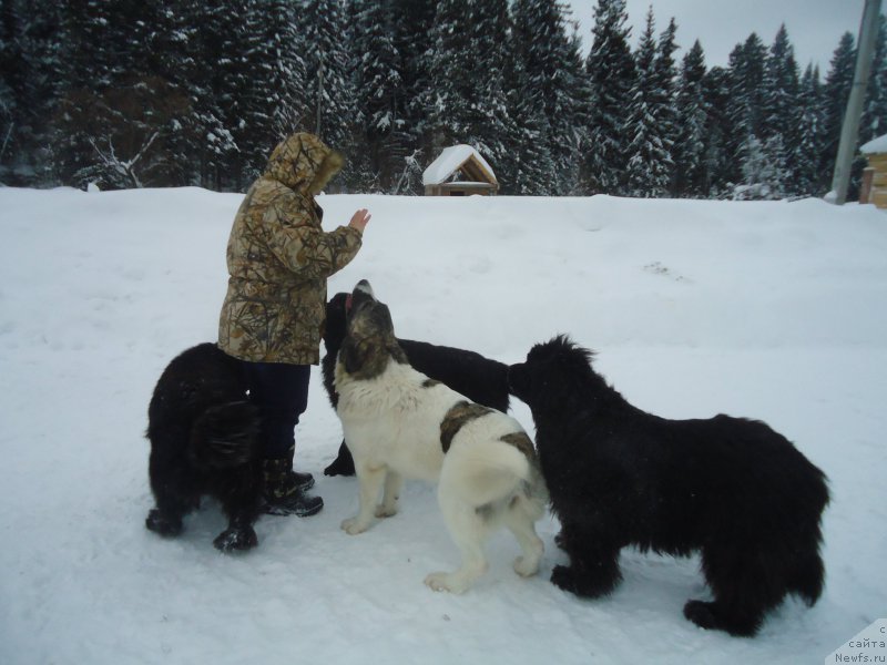 Фотография № 218991