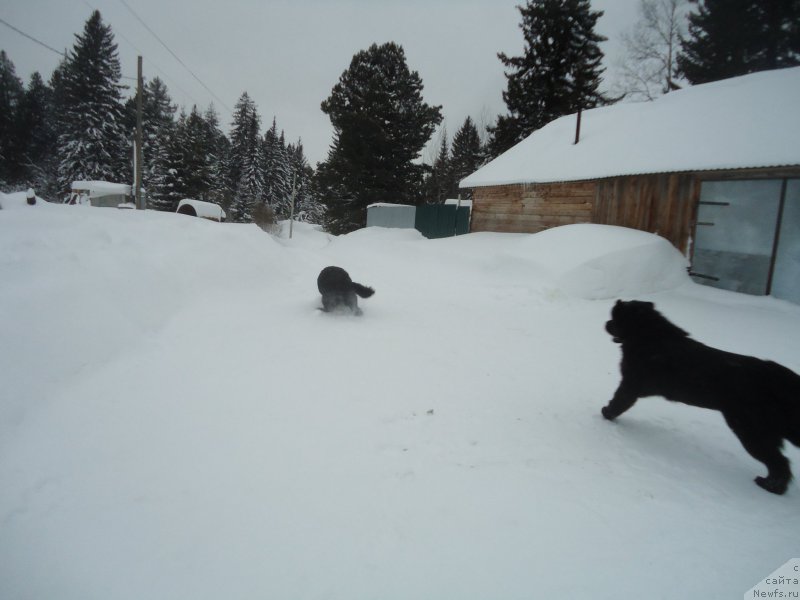 Фотография № 218995