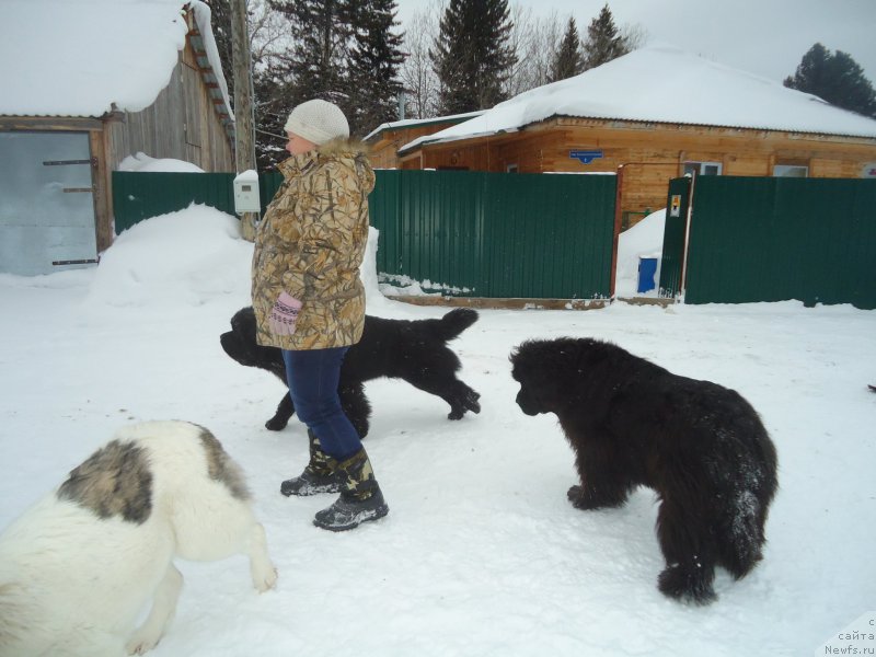 Фотография № 218999