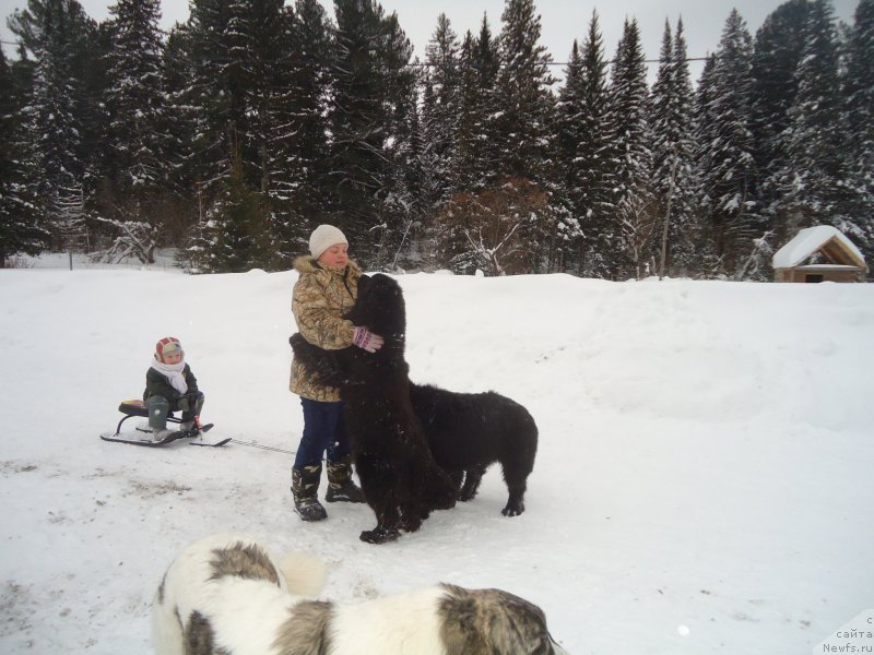 Фотография № 219001