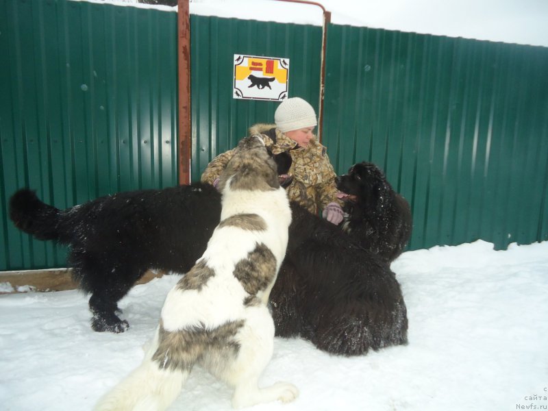 Фотография № 219007