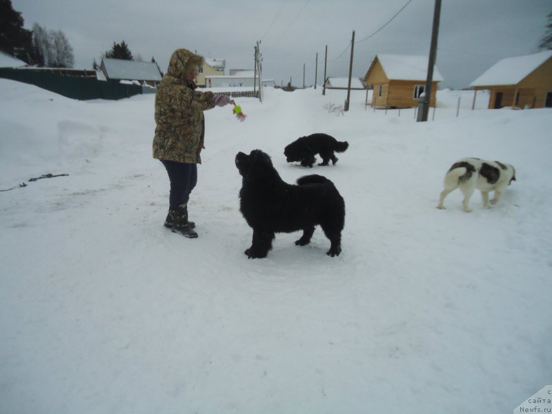 Фотография № 219015