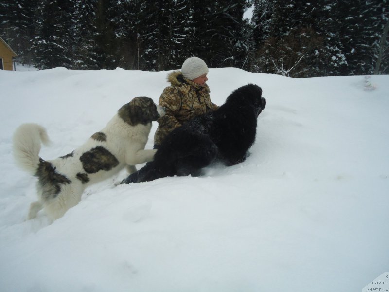 Фотография № 219019