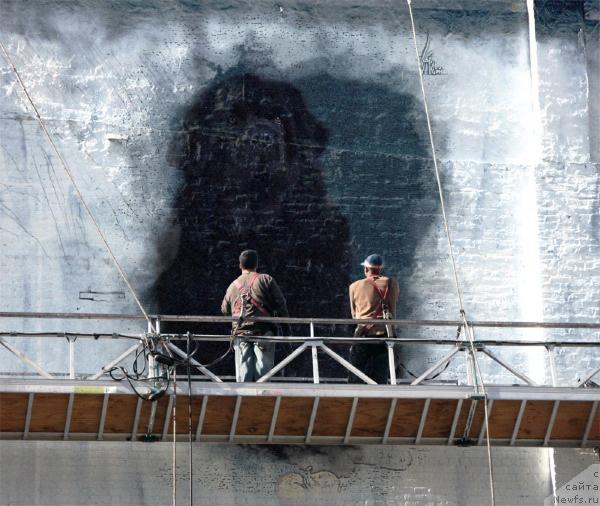 Фото: http://newfs.ru/base/4284/