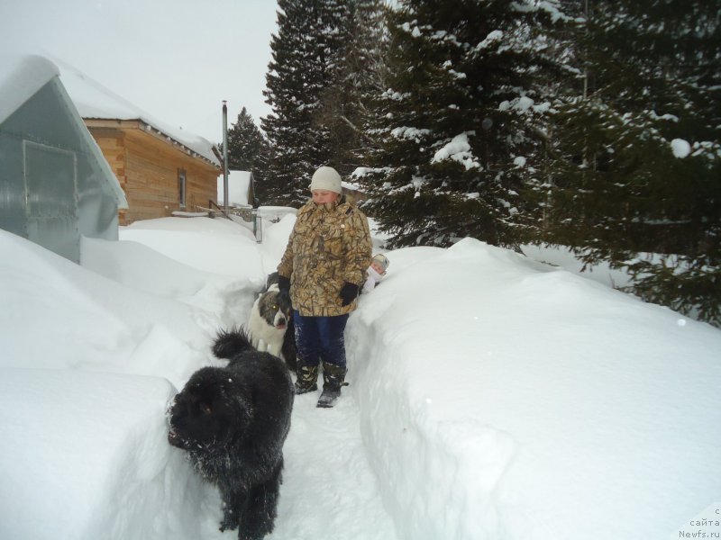 Фотография № 219023