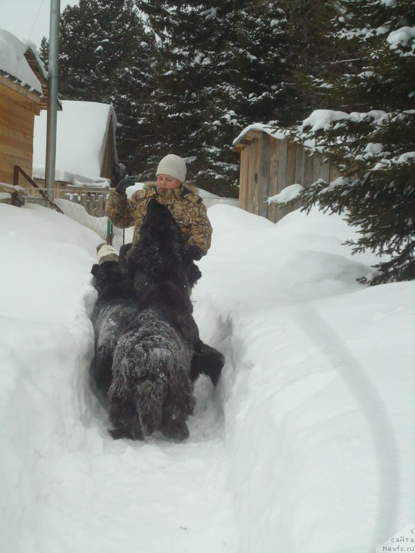 Фотография № 219025