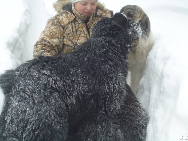 Фотография № 219026