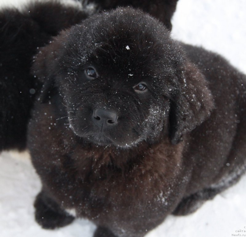 Фото: Аквиан Сонг  

Т