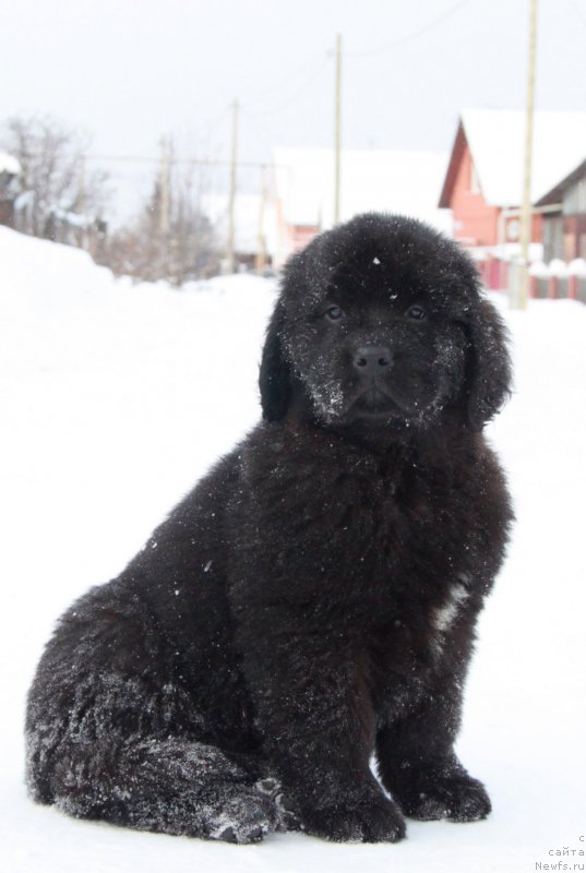 Фото: Аквиан Сонг