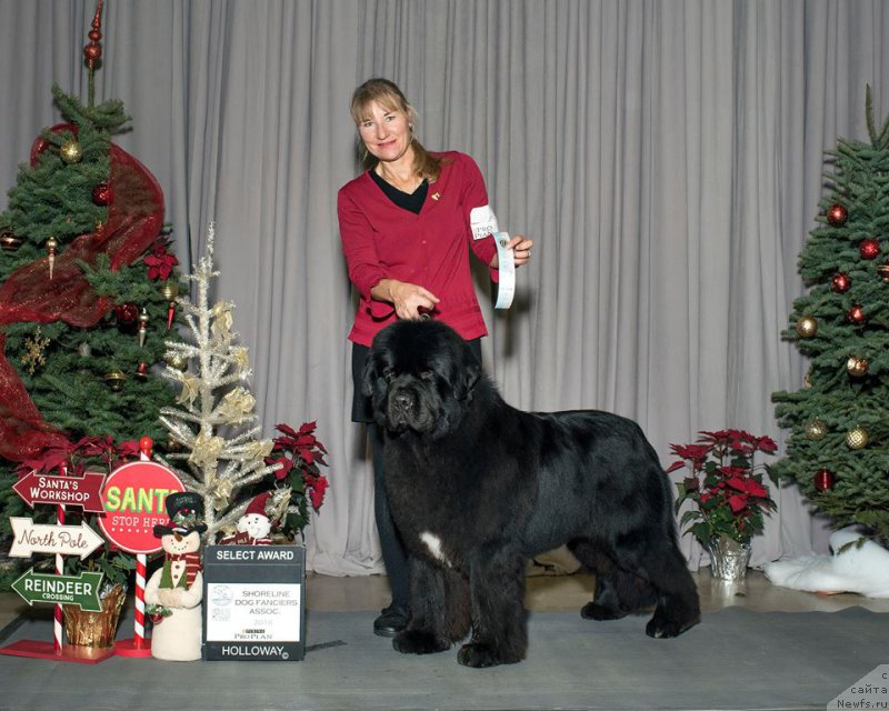 Фотография № 219113