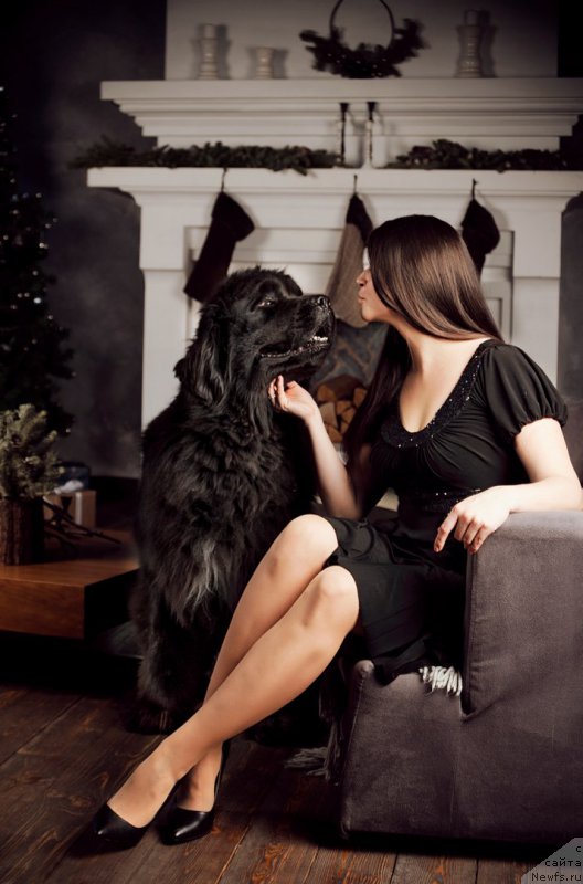 Фотография № 219147