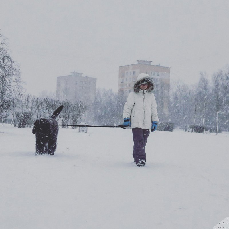 Фотография № 219161