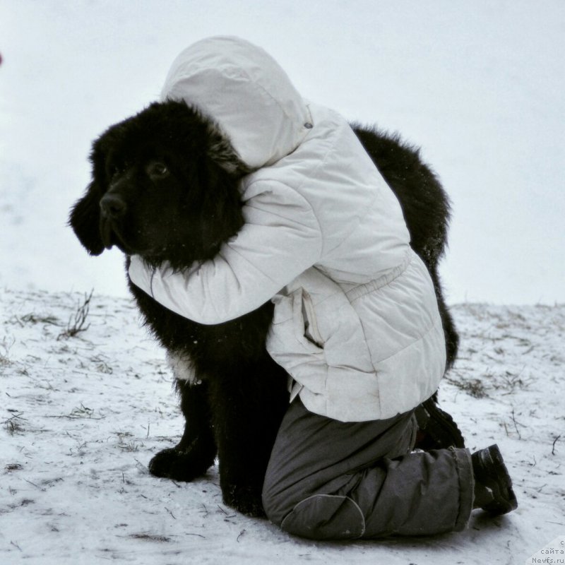 Фотография № 219162