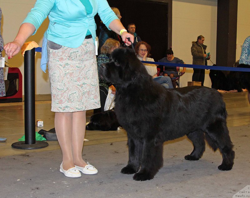 Фотография № 219255