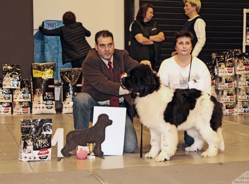 Фото: Плюшевая Панда Кассиан