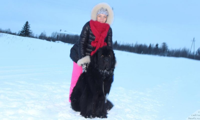 Фотография № 219433