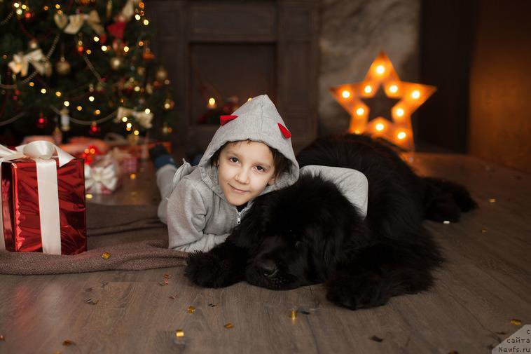 Фотография № 219452