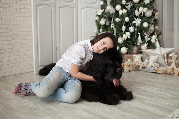 Фотография № 219453