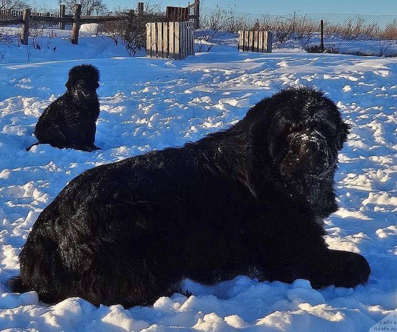 Фотография № 219504