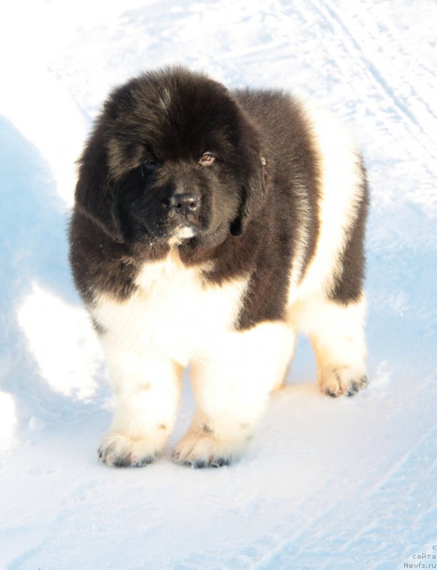 Фото: Тайфун