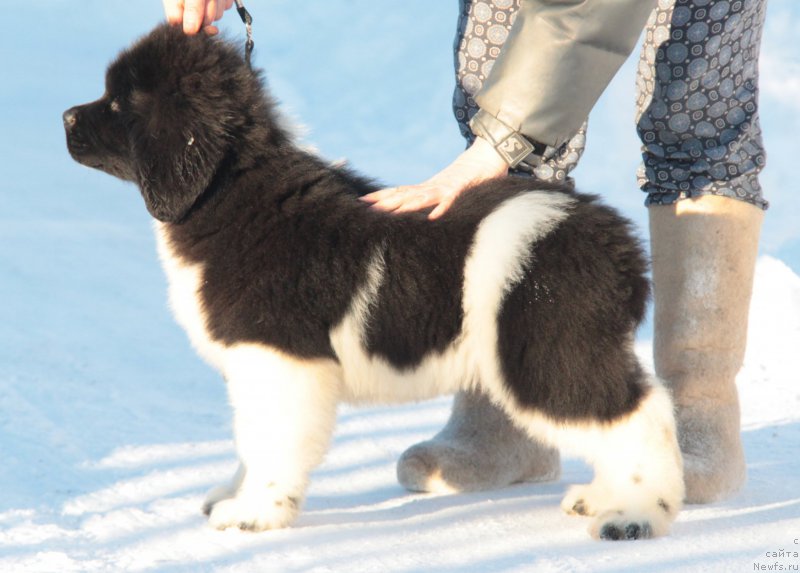 Фото: Тайфун